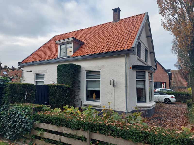 Lees meer over het artikel Softwash dak woning